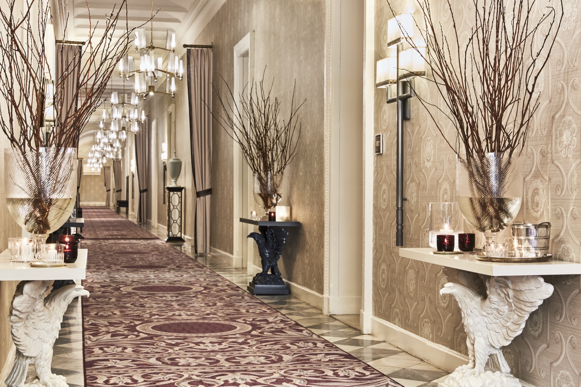 Monaco DC — interior photo 12 of 16
